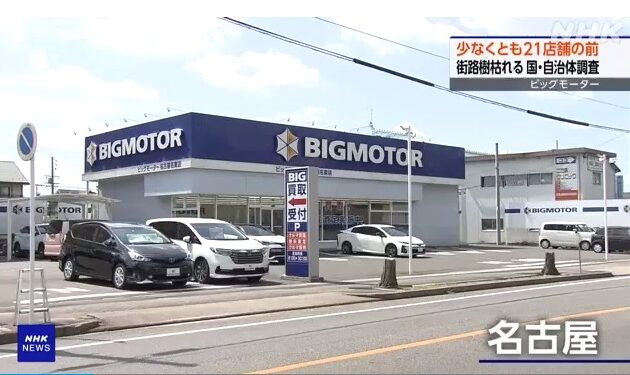 ビッグモーター店舗前の街路樹-各地で枯れる-除草剤成分検出も-NHK-自動車 (1)